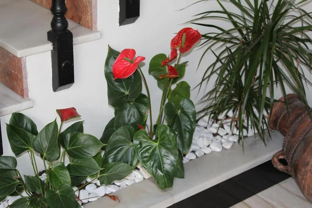 Hotel La Mirada Tarifa